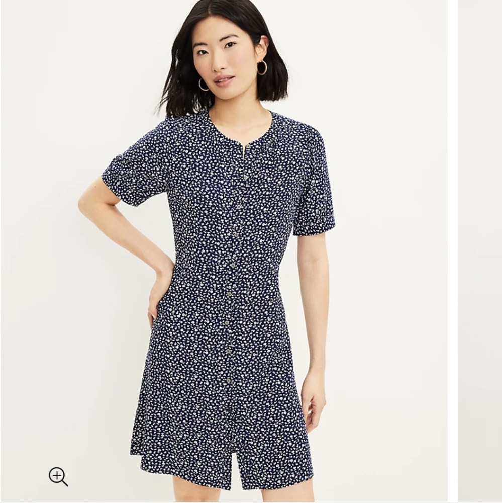 New Loft Garden Flare Shirt dress